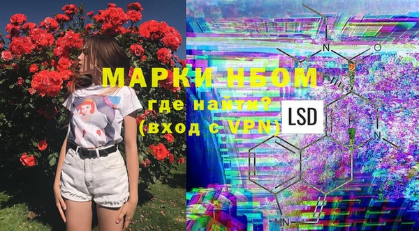 ПСИЛОЦИБИНОВЫЕ ГРИБЫ Балабаново