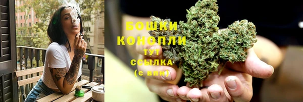ПСИЛОЦИБИНОВЫЕ ГРИБЫ Балахна