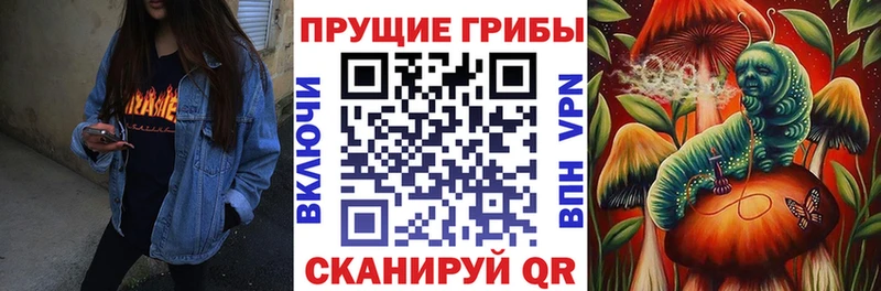 Псилоцибиновые грибы Psilocybine cubensis  omg как зайти  Нововоронеж 