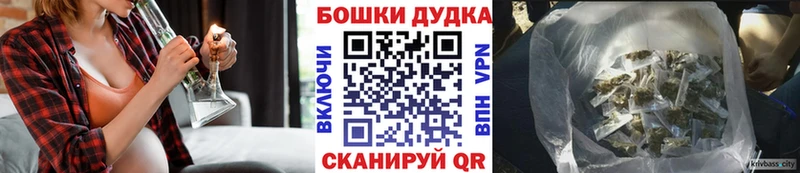 закладки  Нововоронеж  Бошки Шишки ГИДРОПОН 
